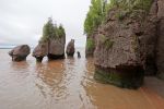 PICTURES/Covered Bridge, Rocks and More Fossils/t_Hopewell Rocks - FLower Pot Rocks3.JPG